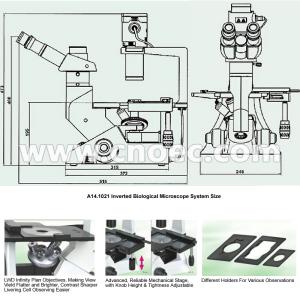 Halogen Lamp 40X Inverted Optical Microscope Infinity Plan A14.1021
