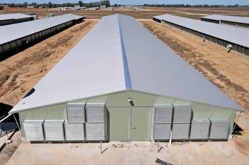 Poultry House Prefabricated Steel Structure Poultry House With Sandwich Panel
