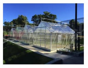 China Large Polycarbonate Sheet Greenhouse Thickness 2mm-20mm wholesale