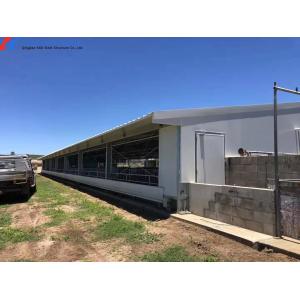 Construction Prefab Steel Structure Piggery Farm House / Steel Structure Cow