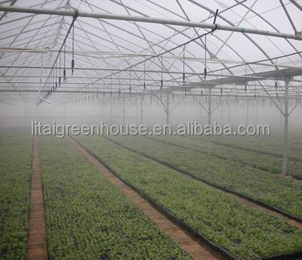 Multi Span Agriculture Greenhouse Height 3m Customized Length 50m