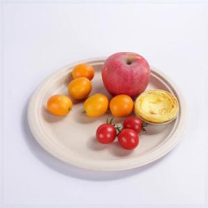 Plant Starch PLA Compostable Disposable Tray Plate Biodegradable