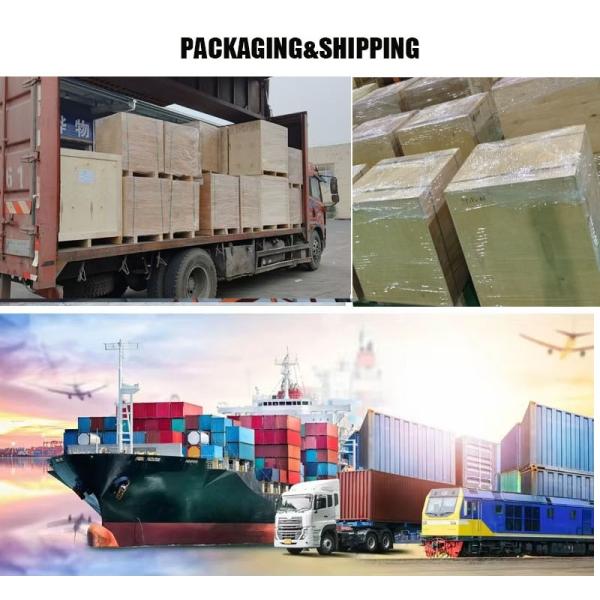 TCD 2015 V08 Engine Repair Kit Energy Efficient High Precision For Deutz Excavator