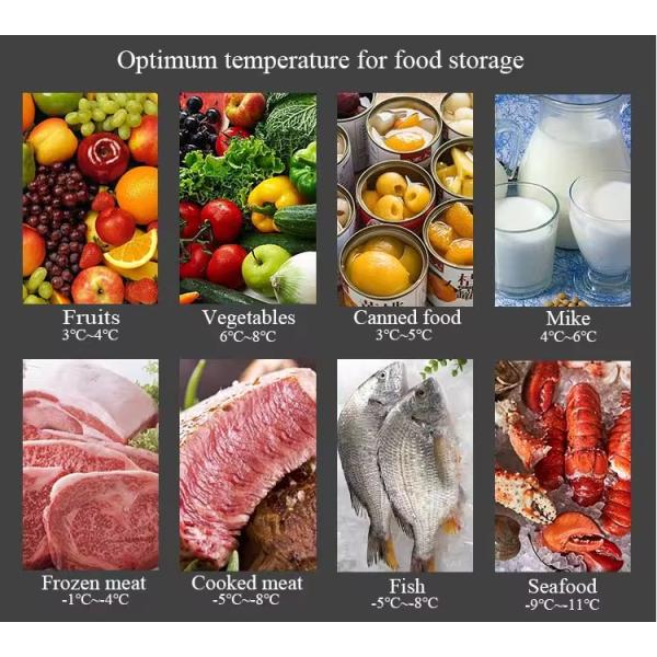 Double Door 10A Efficiency Upright Side by Side Refrigerator with Adjustable Interior Shelves