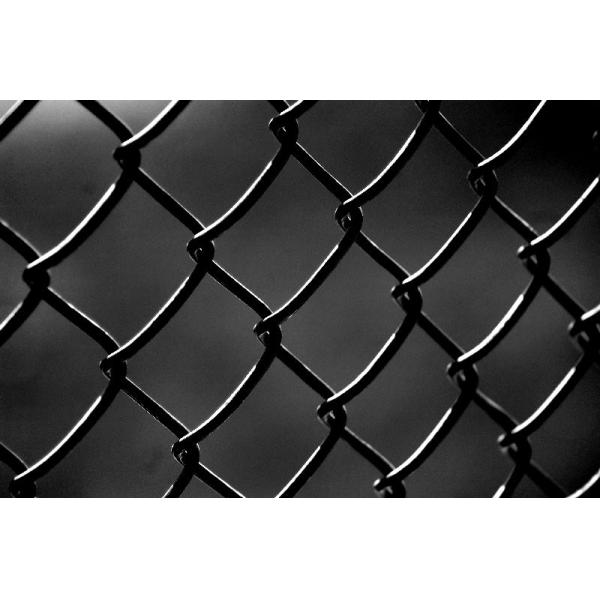 Professional poly coated or Galvanized Chain Link Fence for sale