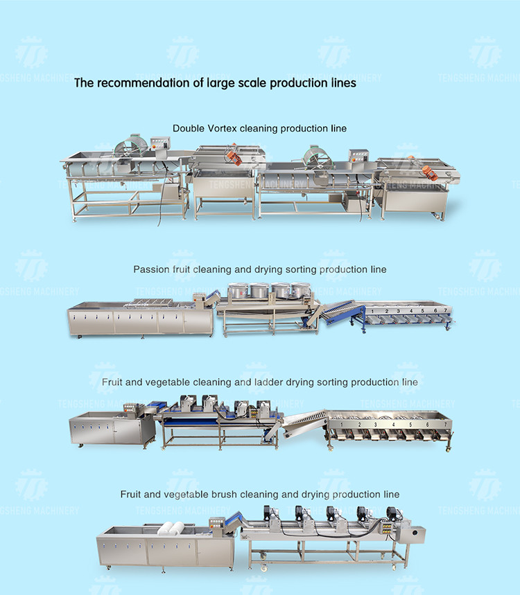 380KG 1.5KW Continuous cleaning equipment seafood wool roller cleaning root cleaning