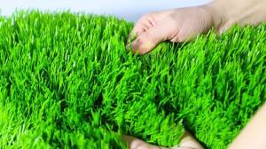 China Rainbow lawn turf artificial grass synthetic multifunction artificial grass wholesale