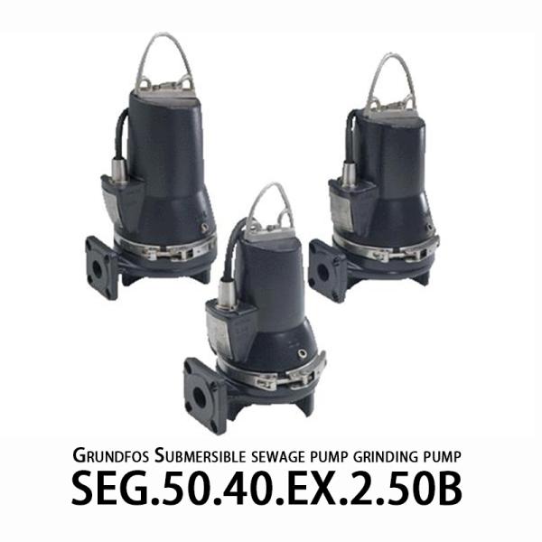 Grundfos SEG Grinding Pump Non Self-priming Single-stage Centrifugal Pump For Sewage Treatment