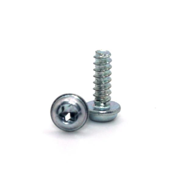 DIN Standard Steel Torx Pan Head Self-Tapping Screw for Accepting Customer Designs