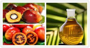 Quality Industrial Olive Oil  Palm oil Separation Decanting Centrifuge With Spiral Solid Discharge OEM for sale
