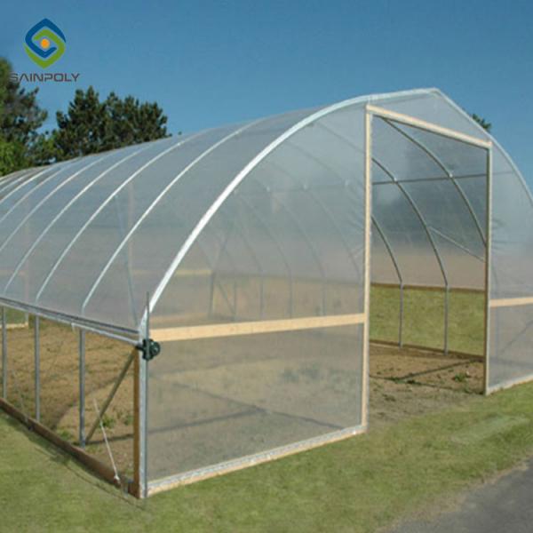 Quality 0.5KN/M2 Clear Polythene Single Tunnel Greenhouse for sale