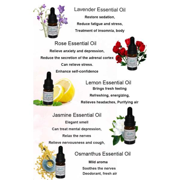 Stress Relief Aromatherapy Essential Oils Set Long Lasting Car Air Freshener