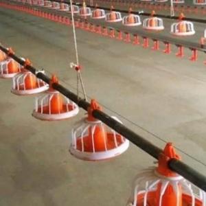 China Duck Layer Hens Chicken Shed Broiler Poultry Equipment wholesale