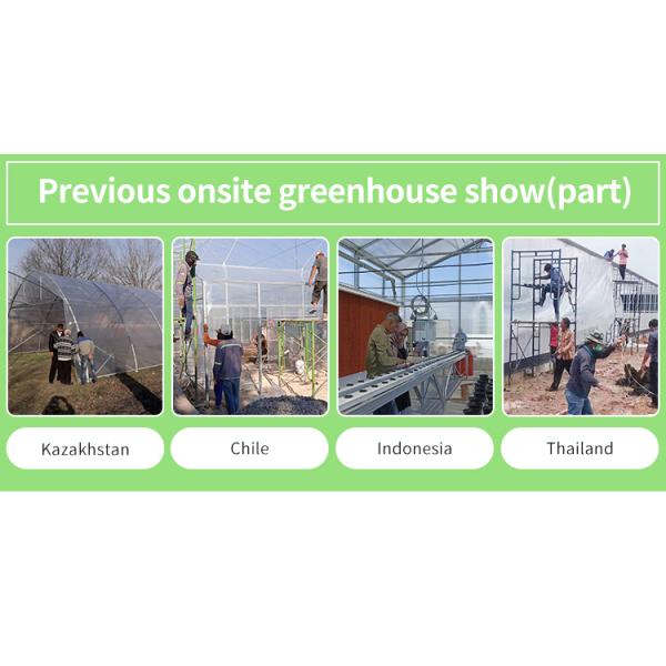 Multi-Span Agricultural Greenhouse 6m-12m Width with 150/200micron PE Film