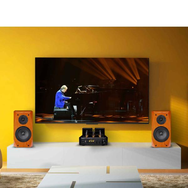 Wood Color 2 Way Passive Bookshelf Speaker For Home Audio System