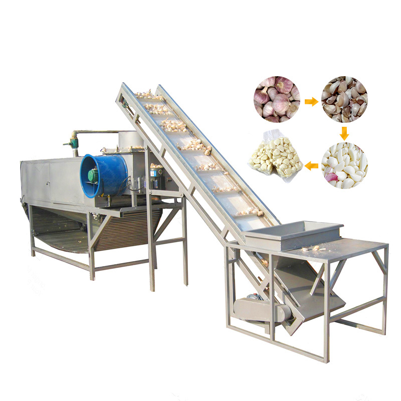 Industrial Fruit Vegetable Processing Machine Orange Mango Cleaning Drying Packing
