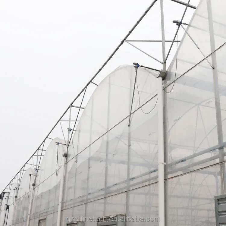 Large Multi Span Agricultural Film Greenhouses With Optional Cooling System