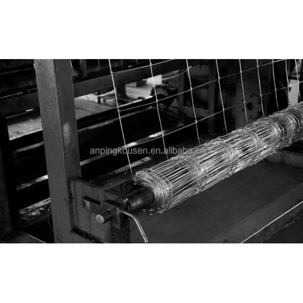 Pressure Treated Timbers Chicken Fencing for Chicken Coops in Commercial Chicken Farms