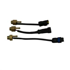 China LN-GTS Bronze CNG LPG Automotive Gas Temperature Sensor wholesale