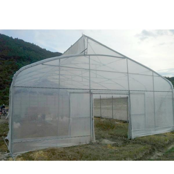 275gsm Zinc Coated Steel Pipe Greenhouse With Agricultural Plastic Film