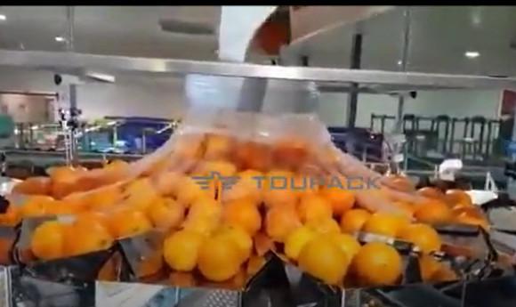 Quality Automatic Orange Fruit And Vegetable Packaging Machine With Net for sale
