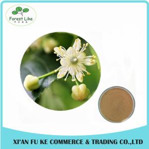 China High Quality Lemon Balm (Melissa Officinalis) Extract powder wholesale