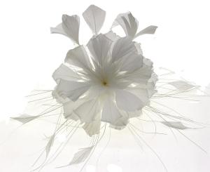 China 10*15 cm Stripped Goose Feather Flower Mount with Chicken Feather wholesale