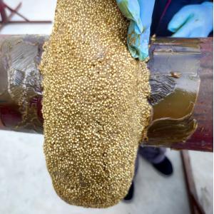 OEM Petrol Bitumen Mastic Putty For Flange Fitting