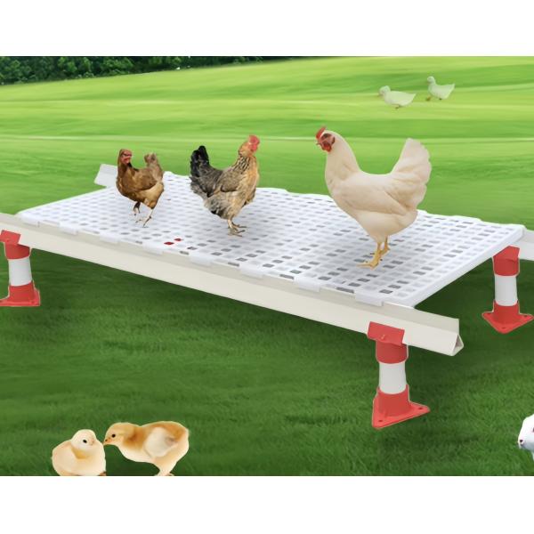 Ground Industrial Grid Slatted Floor Broiler House Plastic Poultry Flooring
