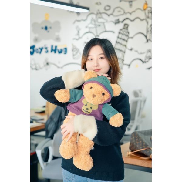 Wholesale Cute Kawaii Plushies Animal Hedgehog Plush Toy 15cm-50cm Gentle Touch