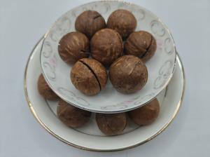 China Delicious Natural Macadamia Nuts From In Plastic Bag wholesale