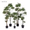 Buy cheap Lifelike Artificial Fern Tree , Artificial House Plants Iron Wire Delightful from wholesalers