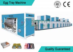 China Full Automatic Moulding Pulp Egg Tray Machine with 4000 Pcs/H wholesale