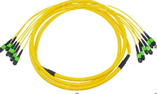 Quality 0.35dB MPO Optical Fiber Patch Cord Pre-Terminated 24 Core for sale