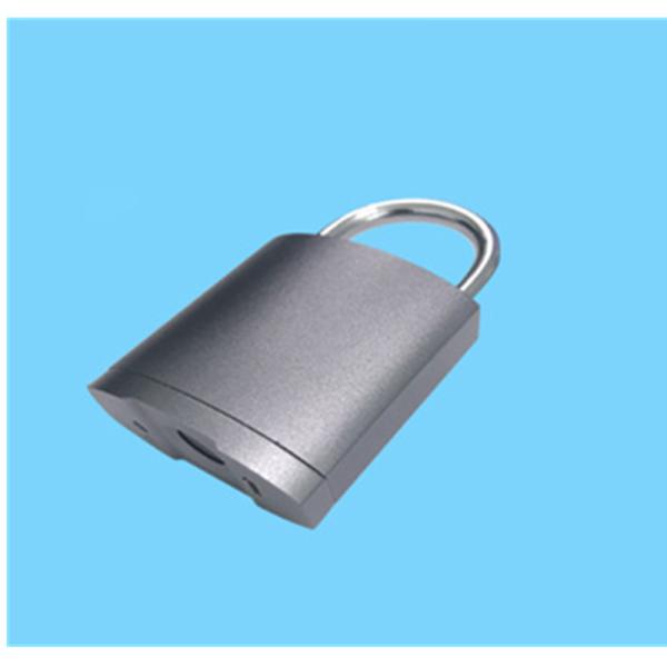 Quality FINGERPRINT LOCK PADLOCK Biometric Fingerprint door locks for sale