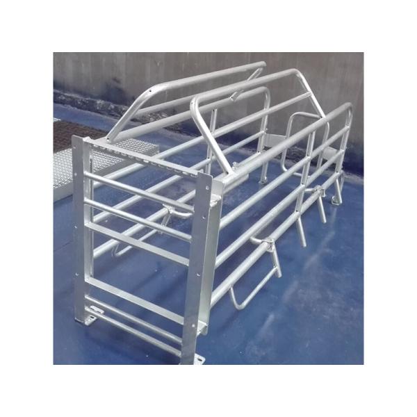Steel Galvanized Pig Farrowing Crate Gray Color customized size with high quality