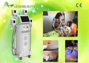 China 2016 Professional cryolipolysis fat freeze treatment belly fat freezing before and after on sale