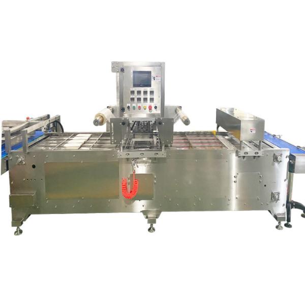 Quality 2.2kw MAP Tray Sealer Machine Rice Tray Sealing System With PLC Control System for sale
