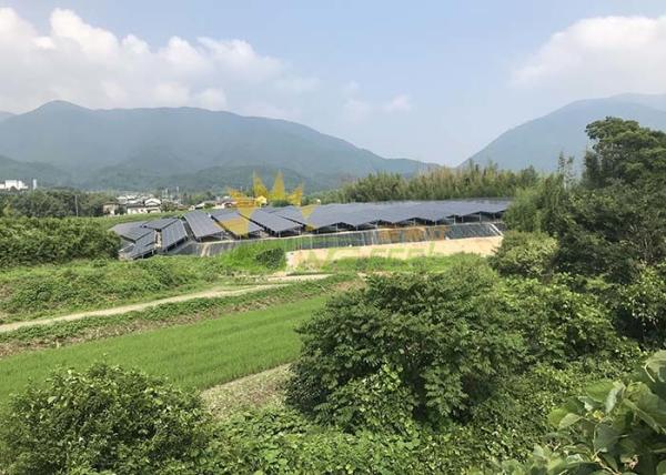 Quality Easy Using Solar Panel Rail Mounting System With Safety And Reliability for sale