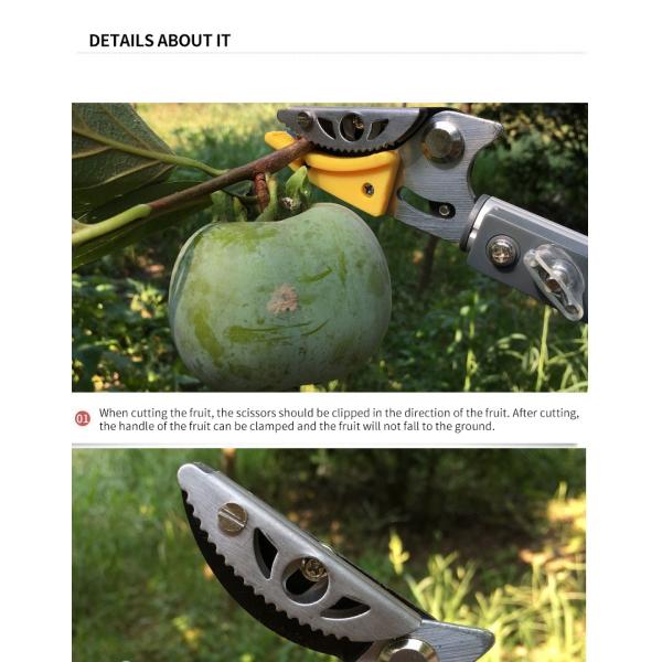 Telescopic Long Hand High Reach Tree Loppers Garden Trimming Scissors 350G