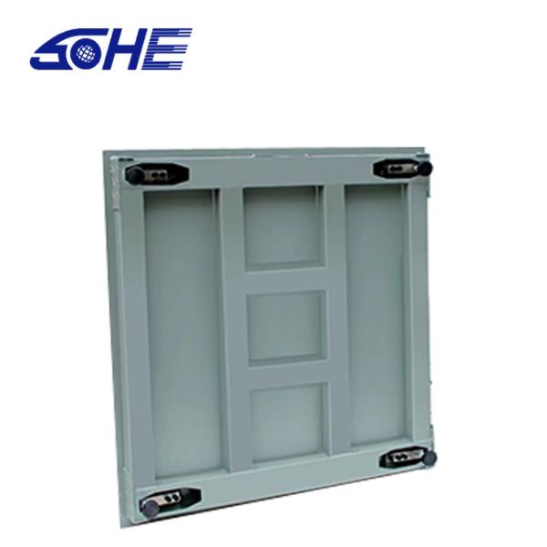 High Precision Single Digital Platform Floor Weighing Scale with Customized OBM Support