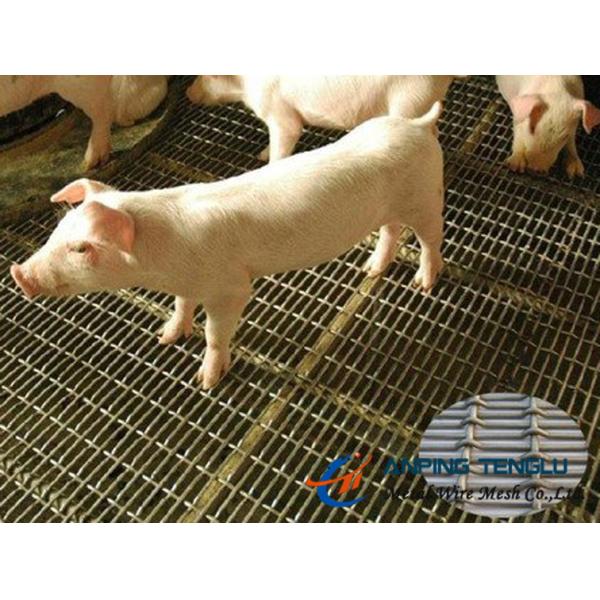 Slot Hole Crimped Wire Mesh in SS304, SS316 for Architecture & Animal Raising