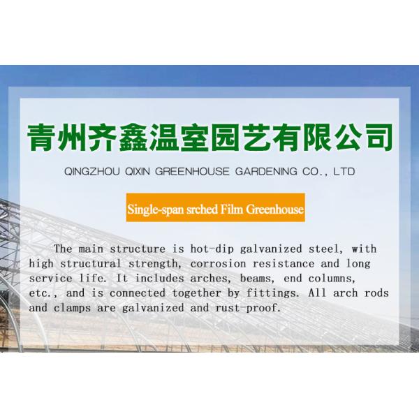 Single-Span Agricultural Greenhouses with Film Cover The Perfect Growing Environment