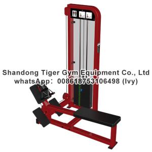 China Single Station Gym fitness equipment machine Low Row exercise machine wholesale