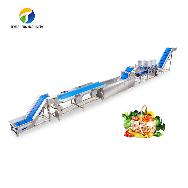 China Automatic Fruit And Vegetable Processing Line Selection Washing Drying wholesale