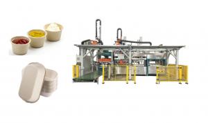 China Smart Paper Molded Unbleach Fast Food Tray Production Line With Double Walking Robot Arm on sale