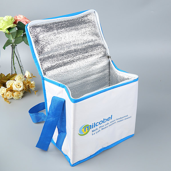 Custom Imprint Bag Grocery Lunch Tote Cooler Thermal Lunch Cooler Bag, Custom size, weight, design