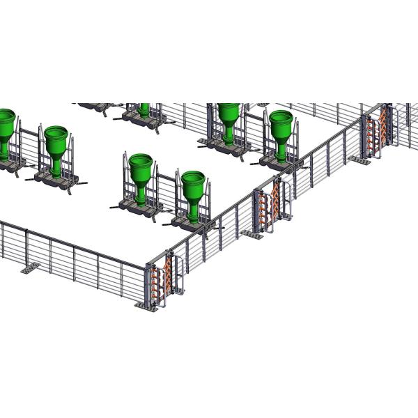 Steel Piggery House Onsite Installation Chicken Shed Construction