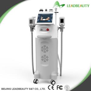 China Cryolipolysis body contouring machine with temperature reduce to -15℃ wholesale