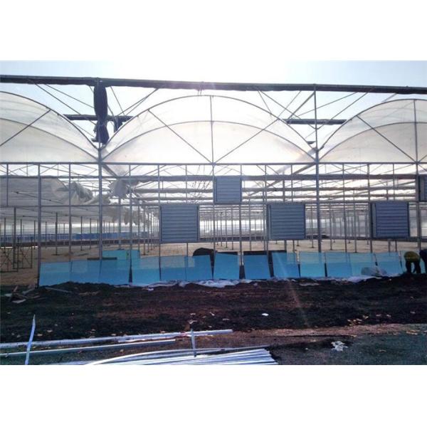 Large Plastic Cover Greenhouse Hot Galvanized Skeleton With Strong Ventilation